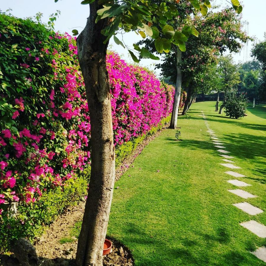 فندق تريدنت أغرا آغْرا المظهر الخارجي الصورة The campus